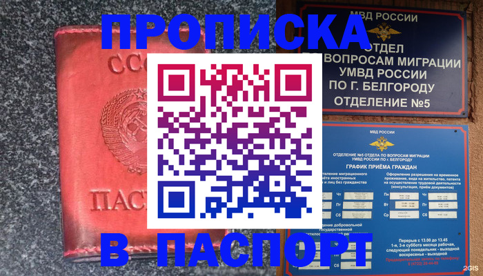 купить прописку в Благовещенске